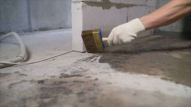 24/7 Emergency Crawl Space Encapsulation experts in Saint Joseph, MI
